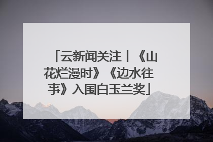 云新闻关注丨《山花烂漫时》《边水往事》入围白玉兰奖